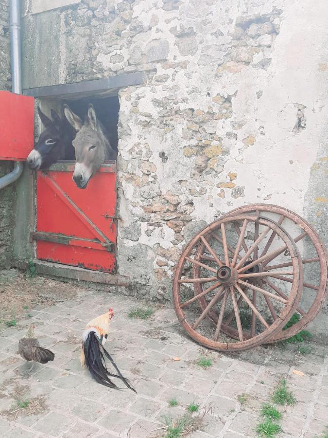 La Ferme De La Loge Konuk evi Epaux-Bezu Dış mekan fotoğraf