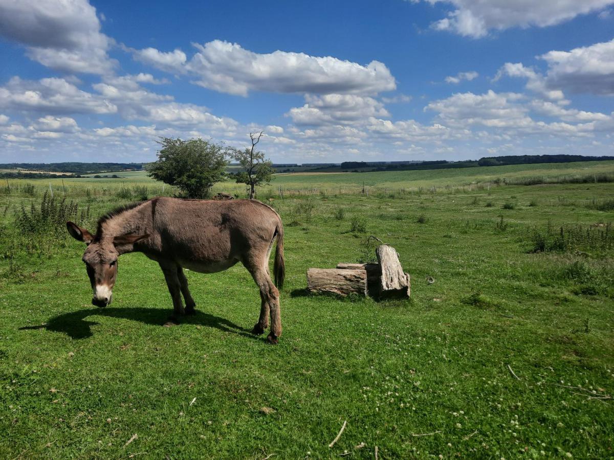 La Ferme De La Loge Konuk evi Epaux-Bezu Dış mekan fotoğraf